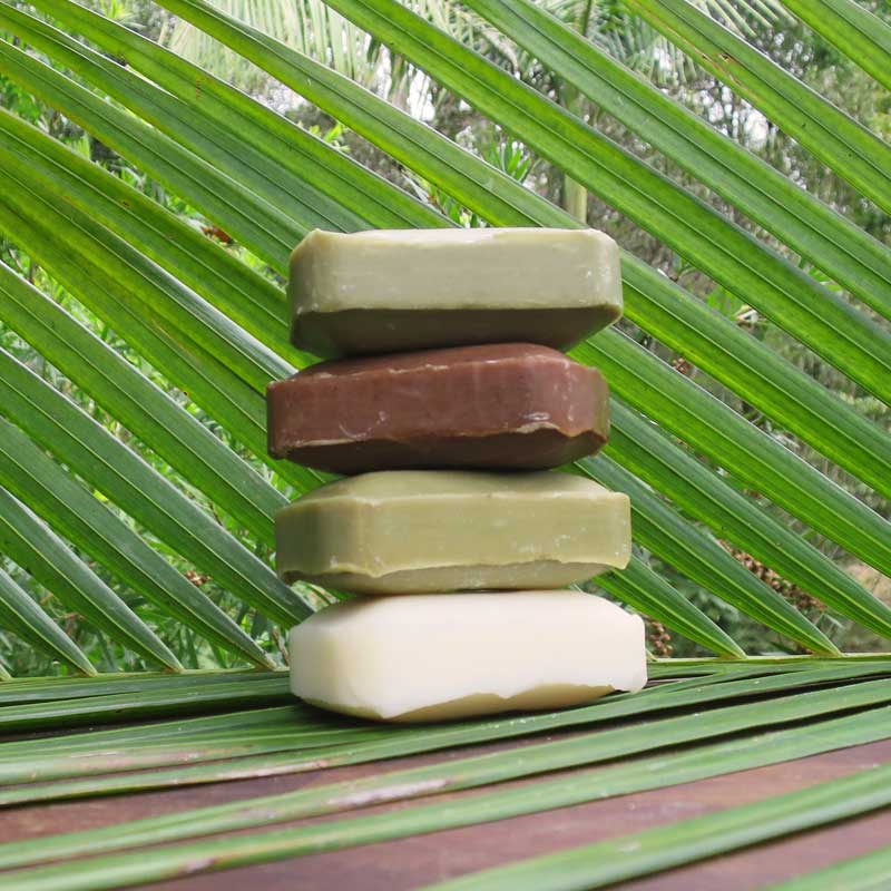 French Bliss is selling French products online in Australia. Discover the 100g scented soap bars for an extreme body care. Propolis, Aloe Vera, Argan Oil & Donkey's milk to indulge your Skin.
